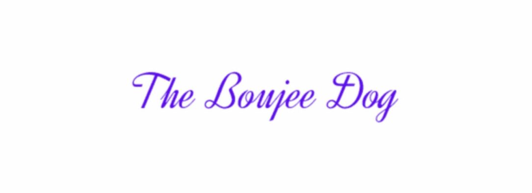 The Boujee Dog